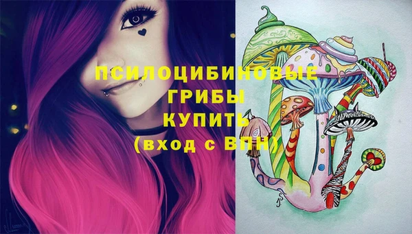 амф Балахна