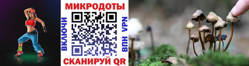 Псилоцибиновые грибы Psilocybine cubensis  купить   МЕГА ТОР  Вяземский 